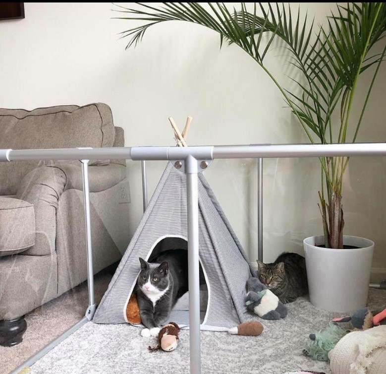 27" Tall Medium Lucidium Pet Pen
